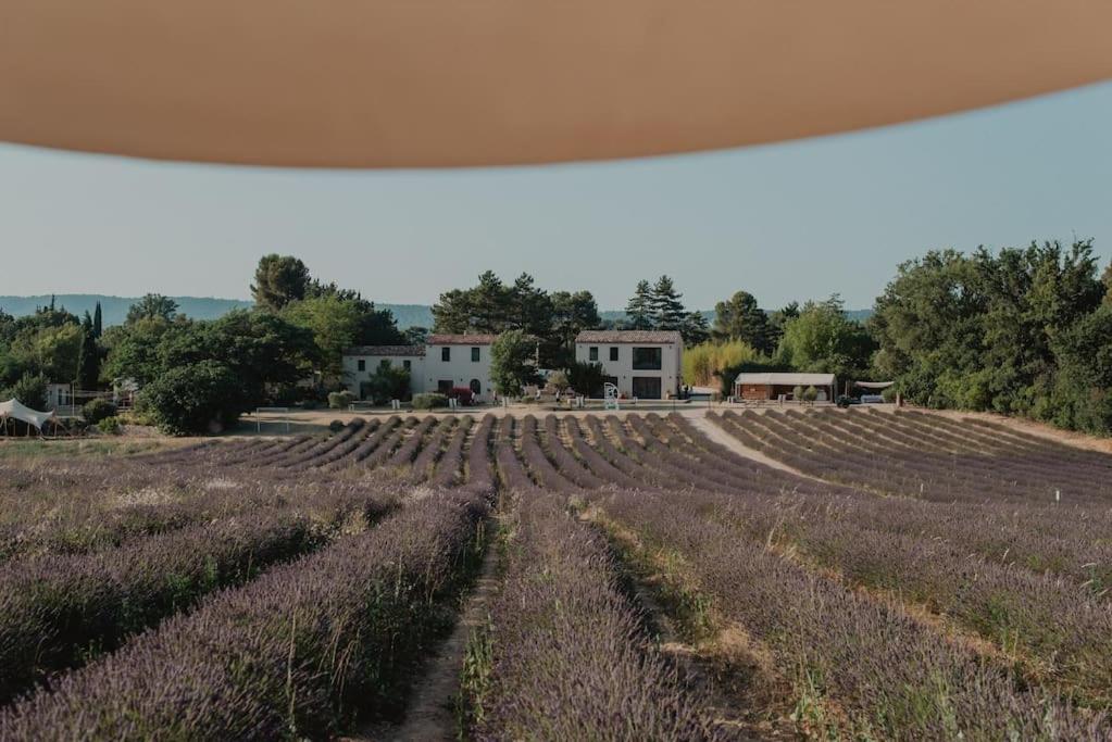 Terre Ugo - Studio Campagne Aixoise #6 Aix-en-Provence Bagian luar foto
