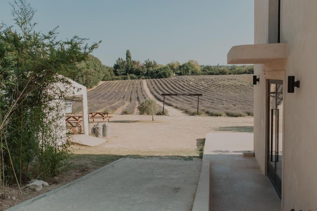 Terre Ugo - Studio Campagne Aixoise #6 Aix-en-Provence Bagian luar foto