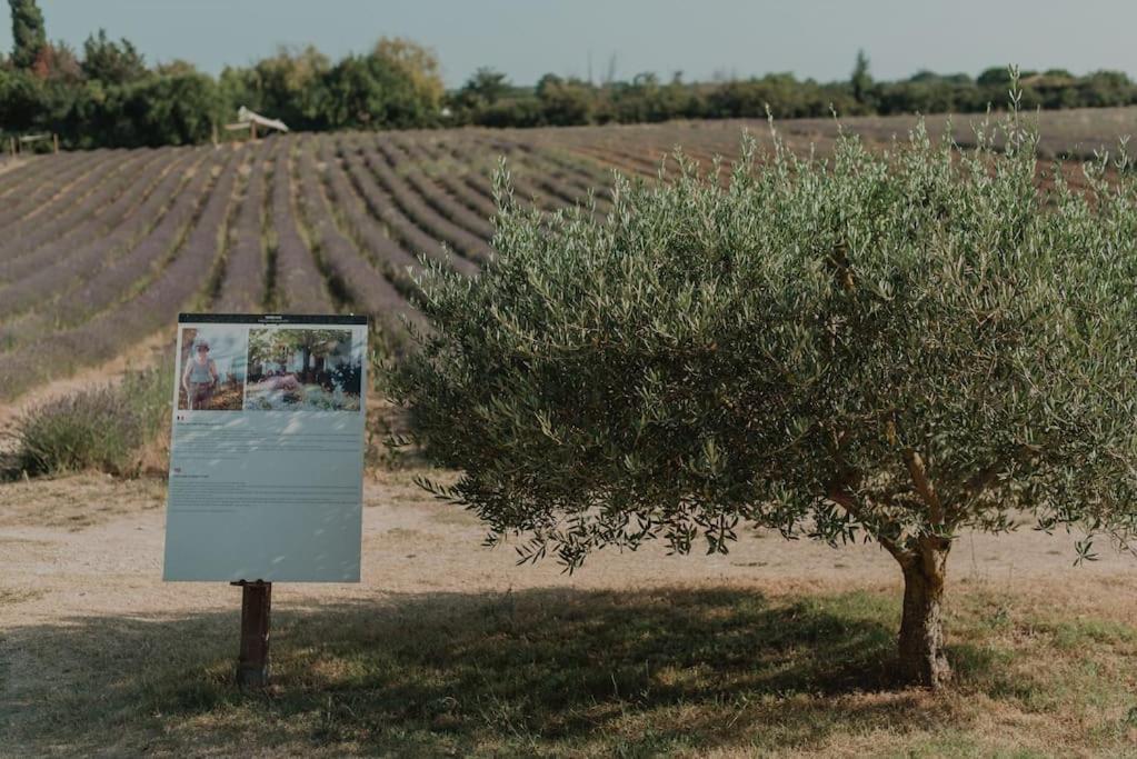 Terre Ugo - Studio Campagne Aixoise #6 Aix-en-Provence Bagian luar foto